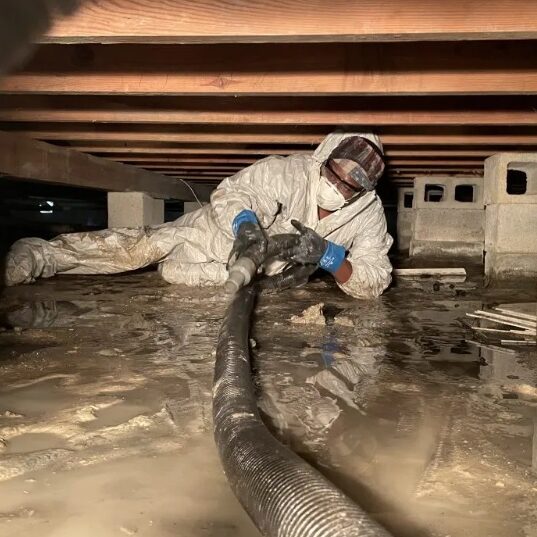 crawl space cleanup