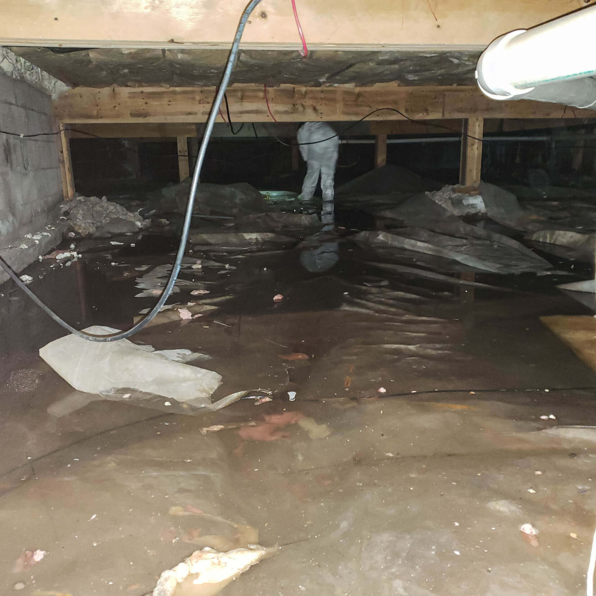 crawl space clean up