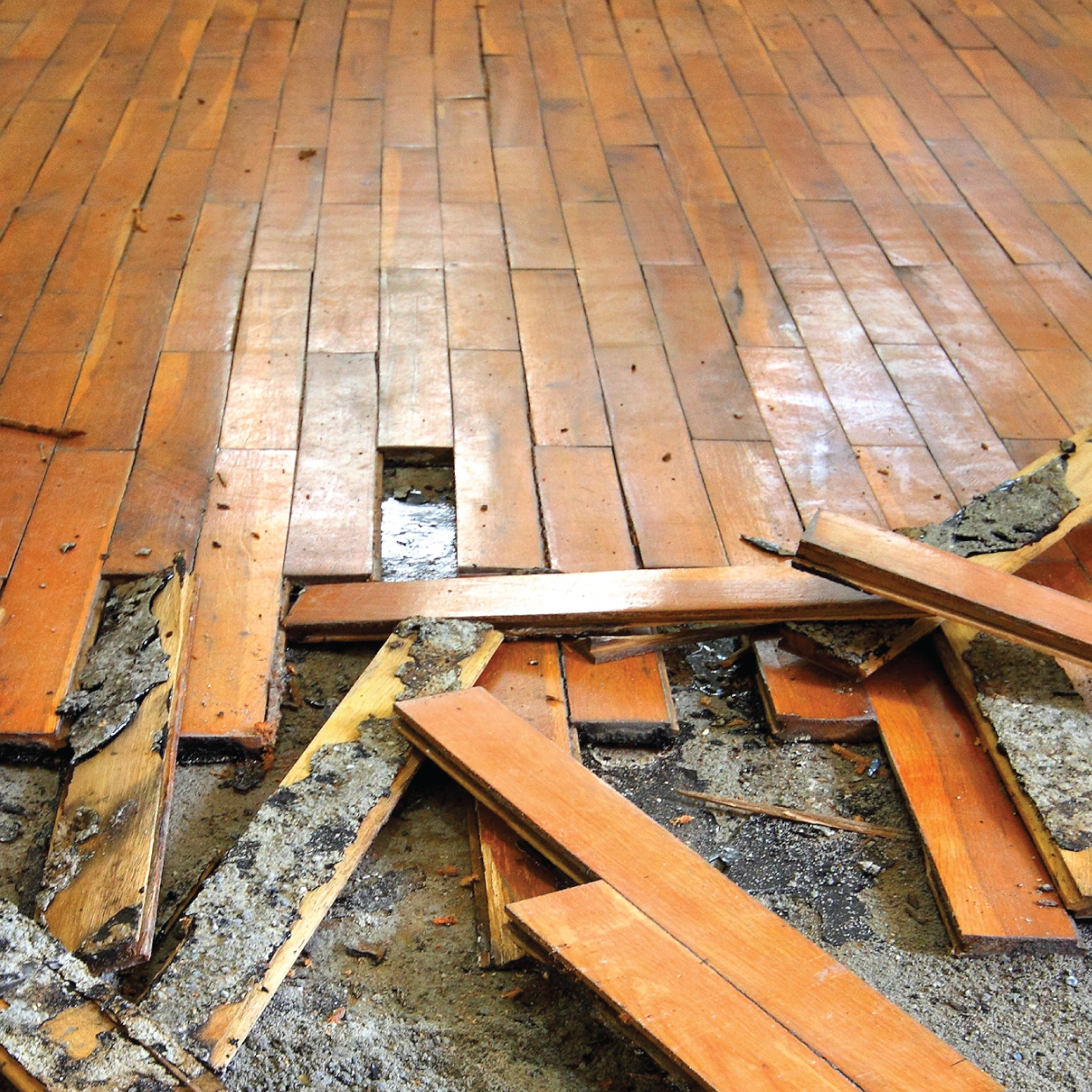 water damage restoration